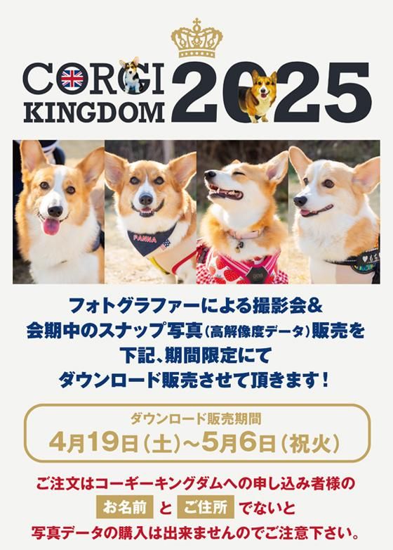 コーギーキングダム2025 - コーギーストア［オリジナルコーギー