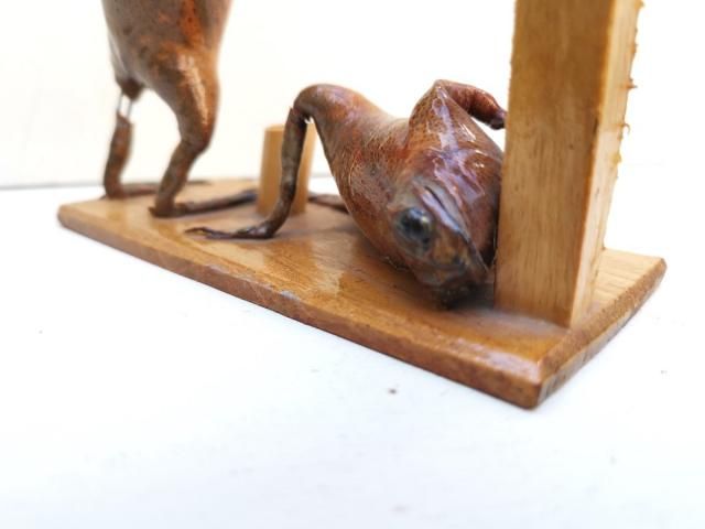 コロナビール泥酔カエル|ビンテージ - メキシコ雑貨とメキシコの民芸店