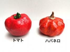 ѥڥޥ ĥ ֥ [ȥޥ.ϥХͥ]  <img class='new_mark_img2' src='https://img.shop-pro.jp/img/new/icons13.gif' style='border:none;display:inline;margin:0px;padding:0px;width:auto;' />
																													
