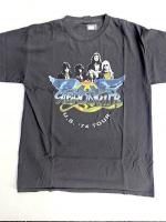 ֡ȥ쥰T [Aerosmith ߥ M] <img class='new_mark_img2' src='https://img.shop-pro.jp/img/new/icons13.gif' style='border:none;display:inline;margin:0px;padding:0px;width:auto;' />