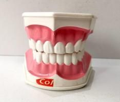 Colgate 륲ȼ Υ٥ƥƥ [Ϸ] used