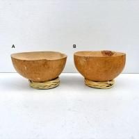 ϥ ҥ Ҥ礦δ [̵ / 10-11cm] ᥹<img class='new_mark_img2' src='https://img.shop-pro.jp/img/new/icons13.gif' style='border:none;display:inline;margin:0px;padding:0px;width:auto;' />