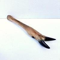 ε  ֥ [ƥꥢ 24.5cm]2<img class='new_mark_img2' src='https://img.shop-pro.jp/img/new/icons13.gif' style='border:none;display:inline;margin:0px;padding:0px;width:auto;' />