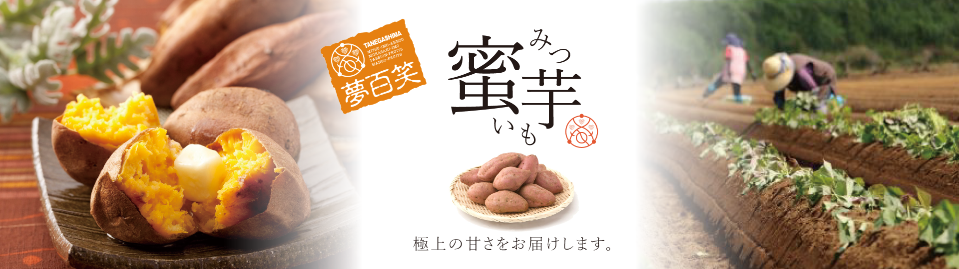 ǯ⤪ž夬ޤ̴ɴС̪