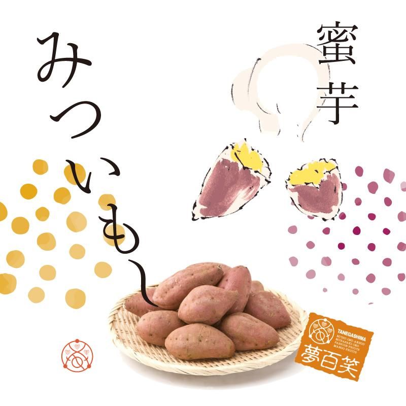 ǯ⤪ž夬ޤ̴ɴС̪