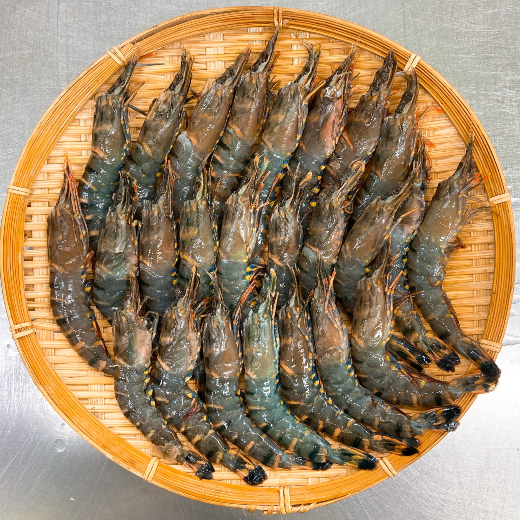 頭から尾まで殻ごと食べられるソフトシェルシュリンプ - 鮭やふくなど関西のうまい魚を食卓へ「黒門三平 うまいもん便」