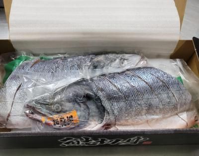 <img class='new_mark_img1' src='https://img.shop-pro.jp/img/new/icons65.gif' style='border:none;display:inline;margin:0px;padding:0px;width:auto;' />���ۡ��ĥ����������������ʥ����˻��ڿȡ�����Ȣ������2kg