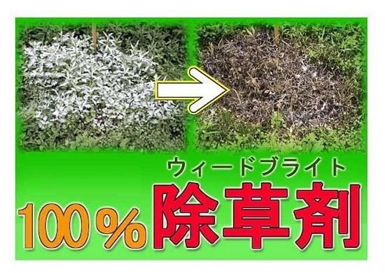 2個組除草剤ウィードブライト.jpg