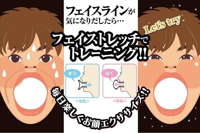 フェイストレッチハードタイプ6