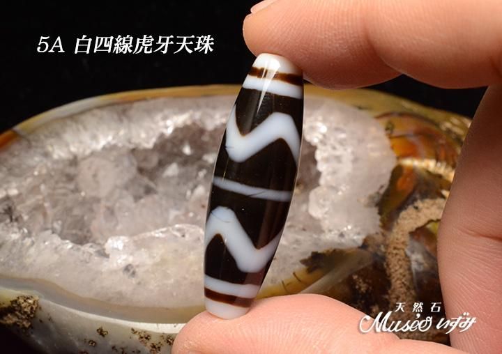 11.超レア物　特大至純天珠　虎牙紋　天然石　魔除け　開運　チベット　御守 5A 最強の魔除けを得る虎の牙 【白四線虎牙天珠】 一点物 - 石川