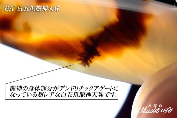6A' 希少 財運・全ての運気を上昇 白皇帝五爪龍神天珠 一点物