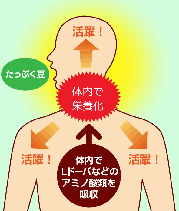 point01