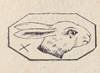ウサギの刻印
