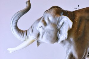 ニンフェンブルク「Elephant trunk up」（Edward）象のフィギュリン