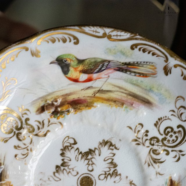 肌触りがいい 英国製vintage COALPORT コールポート KHOTAR 27大皿 ...