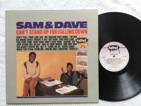 CAN'T STAND UP FOR FALLING DOWN<br> SAM & DAVE