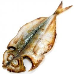 ʥץȪ - FAKE FOOD HATANAKA | 