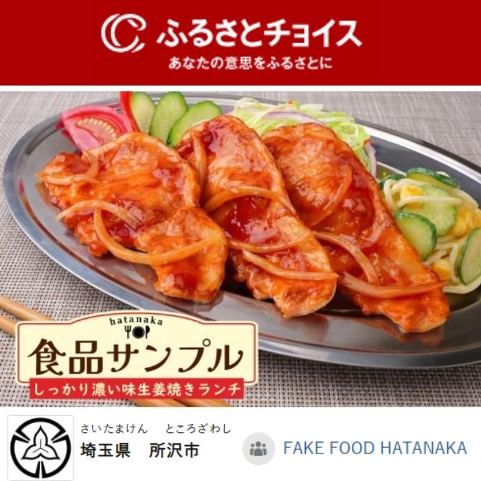 դ뤵Ǽǡʥץ롡-ʥץȪ桡FAKE FOOD HATANAKA 