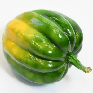 ڸʸ¤ۤɤ󤰤꤫ܤʥإĹΡ