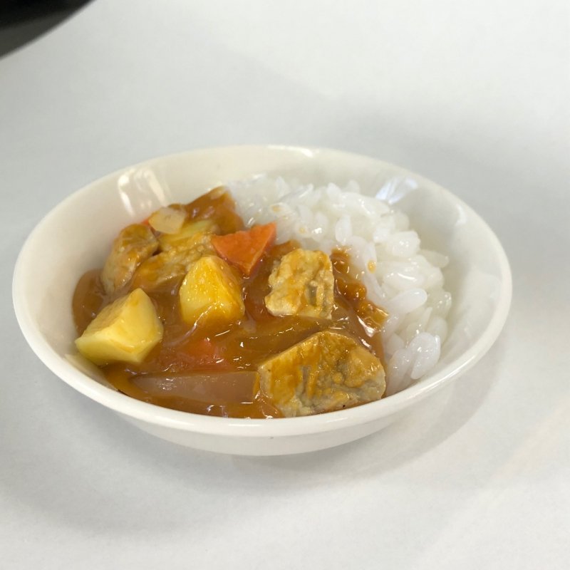 正規販売店】 食品サンプル カレーライス 納豆 丼物 フェイクフード