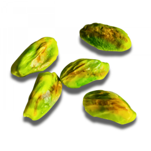 ԥʴݤȡ̵ˤФ꣱