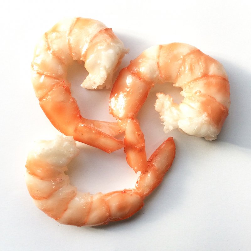 22センチ】食品サンプル 海老 ビッグサイズ - 小物/アクセサリー