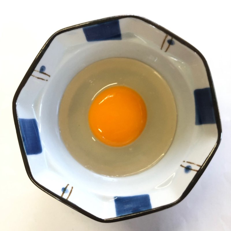 食品サンプル】小鉢に割り入れた生卵【和食】 - fake food HATANAKA 