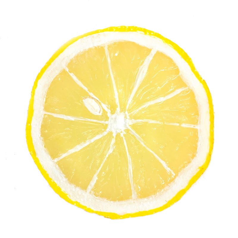 食品サンプル】輪切りレモン（レモンスライス）【フルーツ】