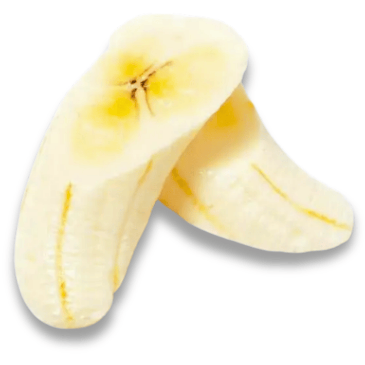 食品サンプル[フルーツ類] 最新カタログ | 食品サンプルの畑中 - FAKE