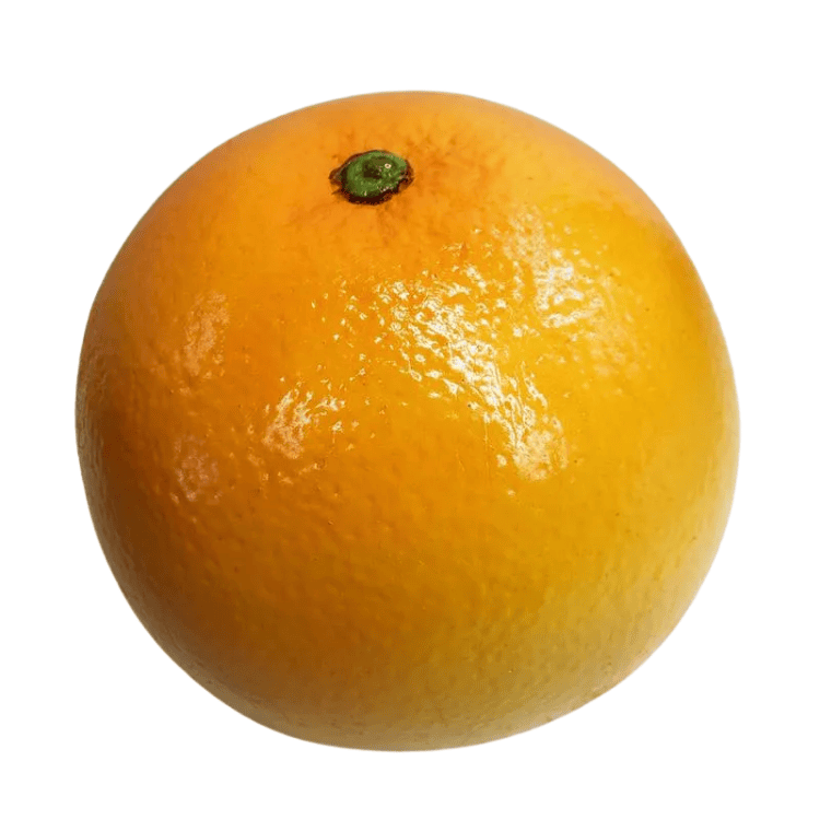 リアルな質感!ルビーグレープフ