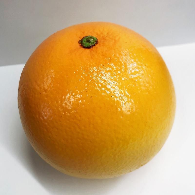 リアルな質感!ルビーグレープフ