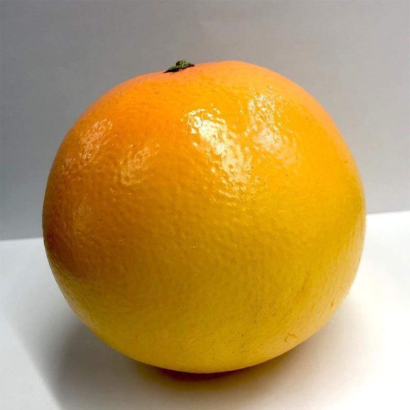 リアルな質感!ルビーグレープフ