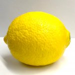 質感までリアルな「レモン」の食品サンプル