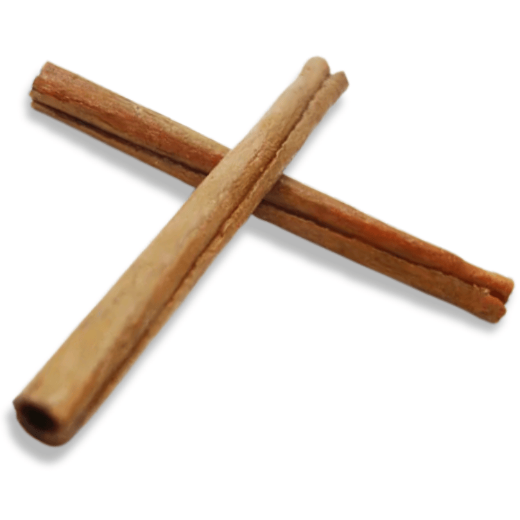シナモンスティック(原寸)ばら