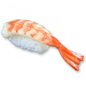 ʡ