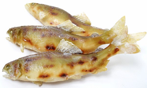 食品サンプル ストラップ 森野サンプル 魚 鯛 キーホルダー - 通販