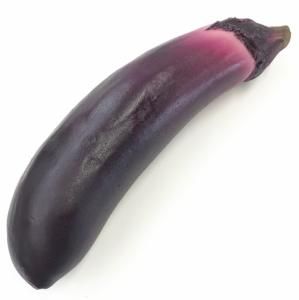 ڸʸ¤ۥꥢʼʤʲػҡ