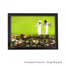 ϡ  ٥ȥʥ ݥȥɡɥ󥿥å ξ Dong Thap girls