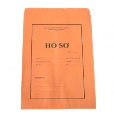 包装紙 コラージュ素材 ベトナム HO SO（ファイル ベトナム語の履歴書） 封筒