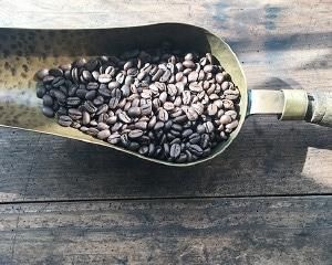 カフェインレス / メキシコ MEXICO TRUNFO DECAF JAS ORGANIC カフェインレス / メキシコ MEXICO TRUNFO DECAF JAS ORGANIC