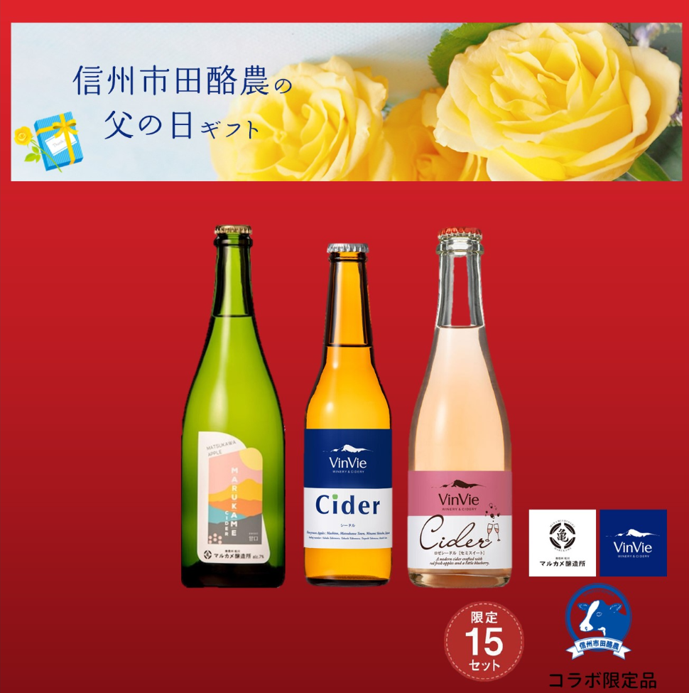 <img class='new_mark_img1' src='https://img.shop-pro.jp/img/new/icons25.gif' style='border:none;display:inline;margin:0px;padding:0px;width:auto;' />ɥߤ٥åȡSA-01-2
