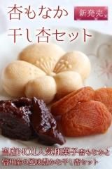 早いものがち！信州産　杏　約10キロ(箱込） 2025年11月発送】採りたてをおとどけ！早生温州みかん（10kg
