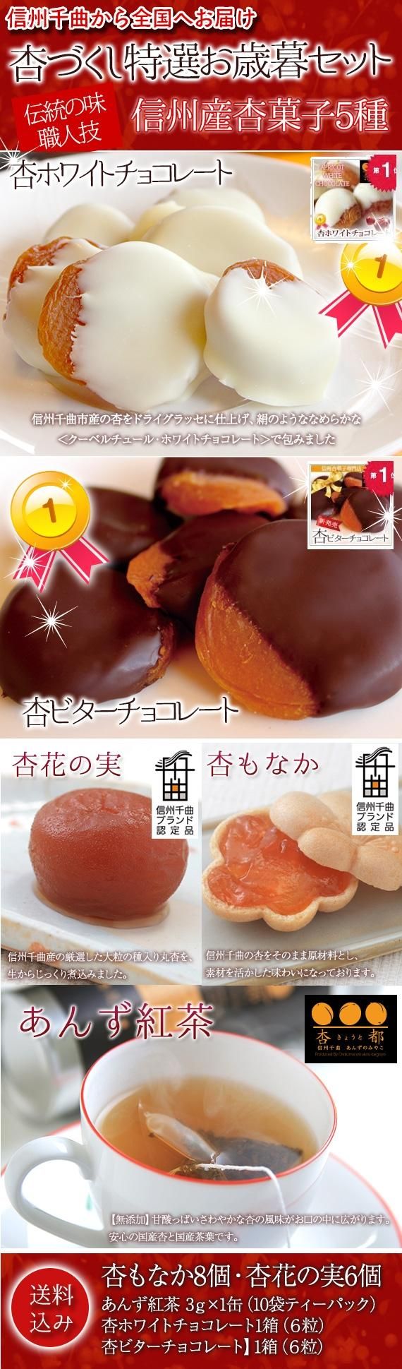 限定セット 送料込 杏づくし冬の特選hセット 春ギフト21 スイーツ 洋菓子 和菓子 信州杏菓子専門店 長坂製菓 杏花堂