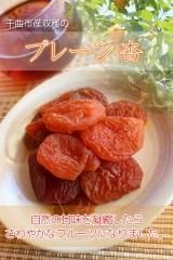 干し杏・杏商品 - 信州杏菓子専門店：長坂製菓 杏花堂