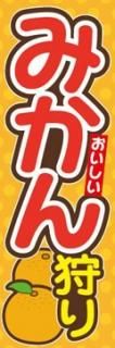 ߤ003