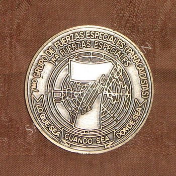 メダルチャレンジコイン2