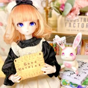 1/3～1/4 size doll Connection 衣装・他 - DOLLCE