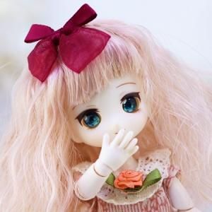商品検索 - DOLLCE