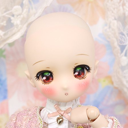 Dollce Doll○ミャウ メイク済みヘッド(スペシャルver2) - Doll 