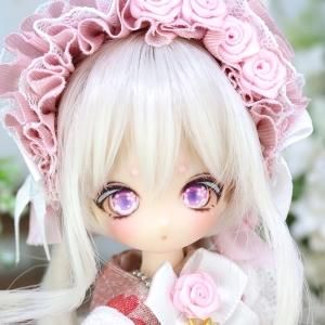 niniKIDS様カスタムミニスウィーツドール - DOLLCE